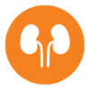 icon: kidneys